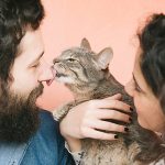Why People Love Cat